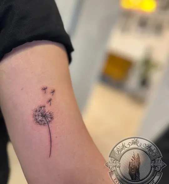 Dandelion fine line tattoo on forearm